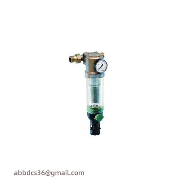 BRAUKMANN F76CS-1AA Reverse Rinsing Filters - Industrial Filtration Solution