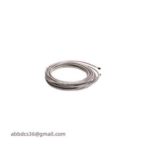 ENTEK E2170/1/80: Robust Extension Cable, 8 Meter Armored Set for Industrial Control Systems
