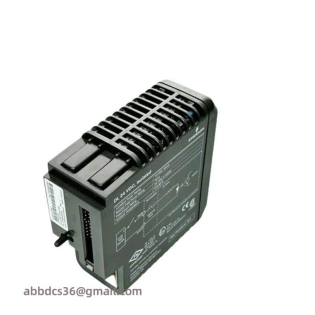 EMERSON PMCSPAN Continuous Development Capability, 200 Characters Limit
