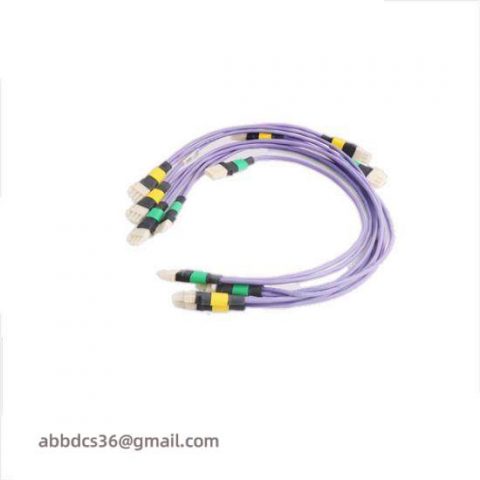 Honeywell 51202329-212 I/O Link Cable Pair: Industrial Control System Accessory