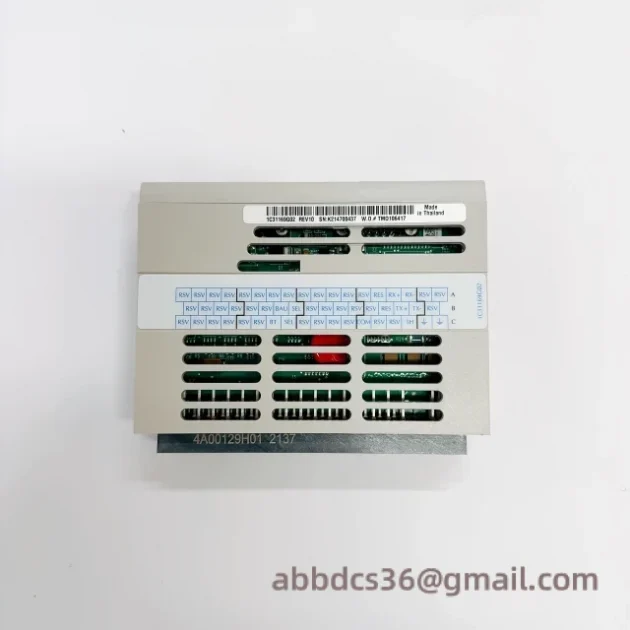 EMERSON 1C31169G02, High-Frequency Power Supply Module