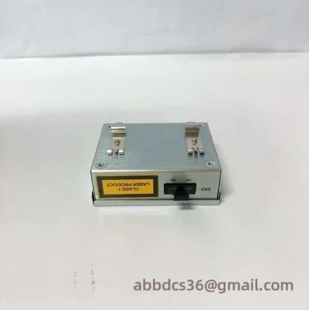 ICS TRIPLEX T8314 Module