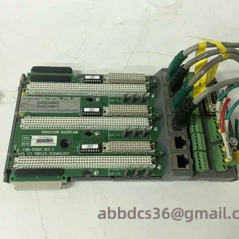 Triplex T9100@G2 9100 Industrial Control Module