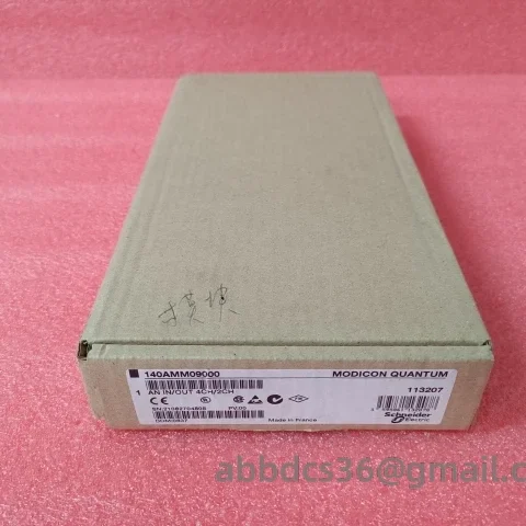 Schneider 140AMM09000 Analog I/O Combination Module